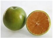 LARANJA PÊRA/DZ