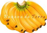 Banana da Terra/kg