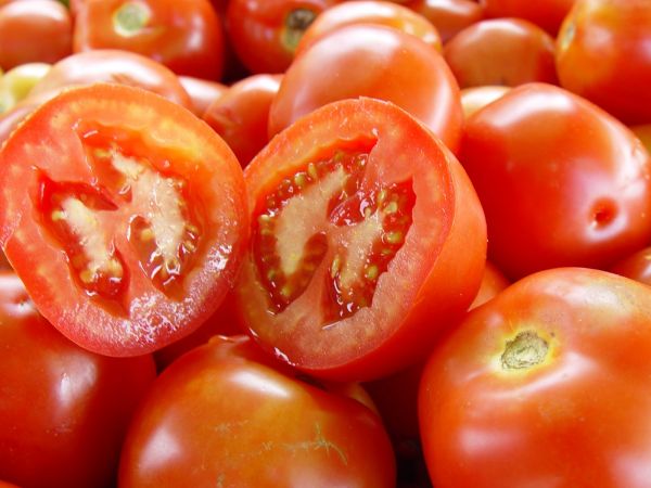 Tomate/kg