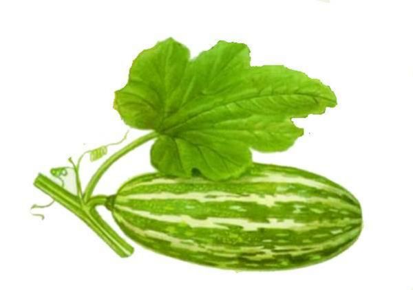 Abobrinha/kg
