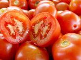 Tomate/kg